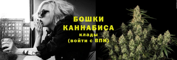 Альфа ПВП Осинники