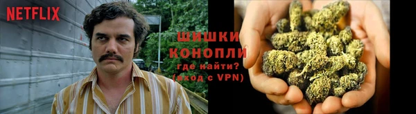 кокс Нягань