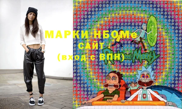 гашик Няндома