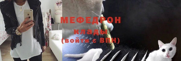 гашик Няндома