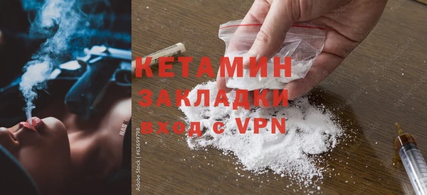 гашик Няндома