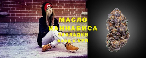 гашик Няндома