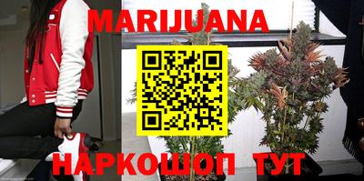 сатива Абакан