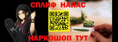 прущие грибы Азнакаево