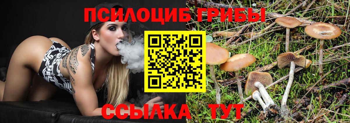 Алексеевка  Псилоцибиновые грибы Magic Shrooms  Псилоцибиновые грибы ЛСД  Вход с VPN 