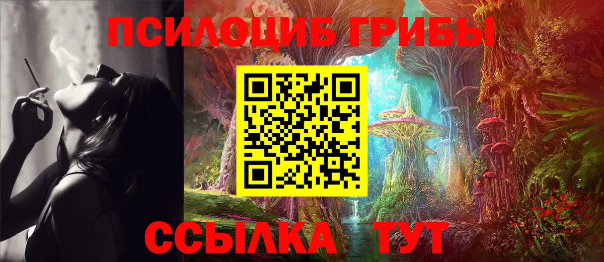 Галлюциногенные грибы GOLDEN TEACHER  Алексеевка 