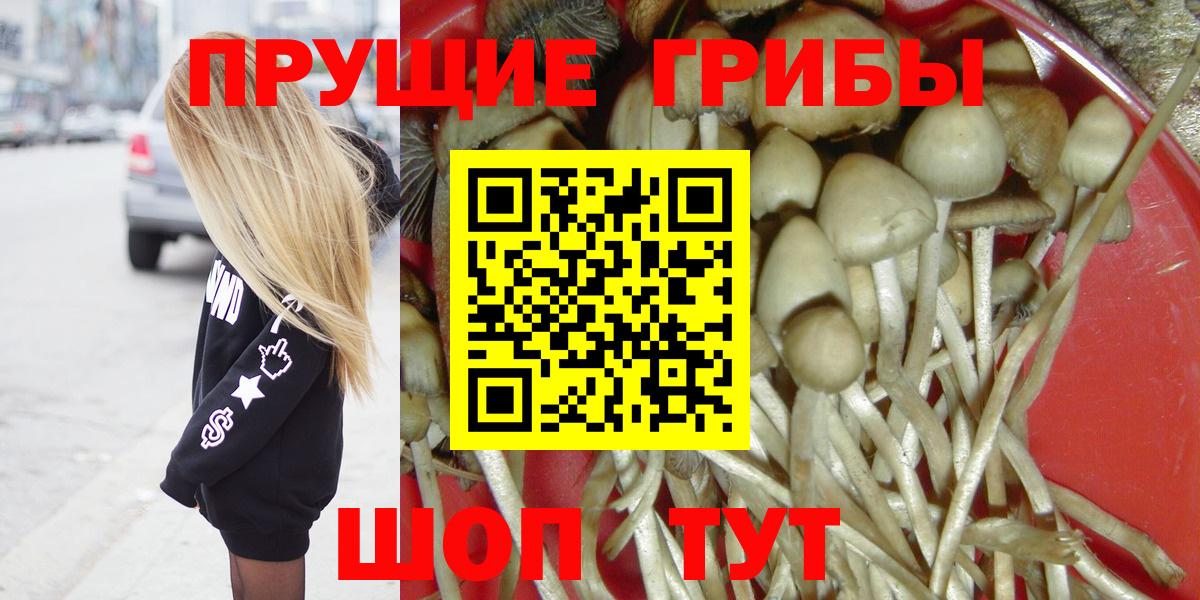 Псилоцибиновые грибы Psilocybine cubensis Алексеевка