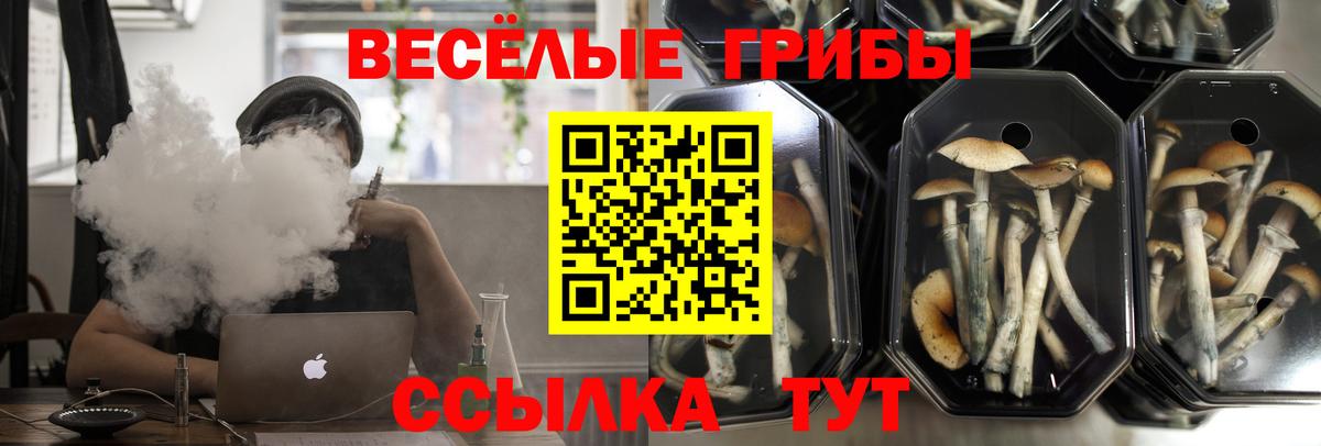 Псилоцибиновые грибы прущие грибы Алексеевка