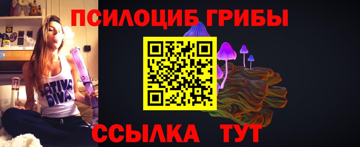 Алексеевка  Галлюциногенные грибы Psilocybe  Вход с VPN 