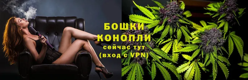 магазин продажи   Алексеевка  Канабис OG Kush 